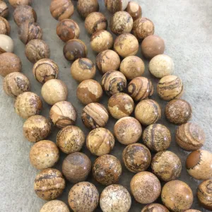 14mm Smooth Natural Picture Jasper Round/Ball Shaped Beads with 1mm Holes - Sold by 15.5" Strands (Approx. 27 Beads) - Quality Gemstone