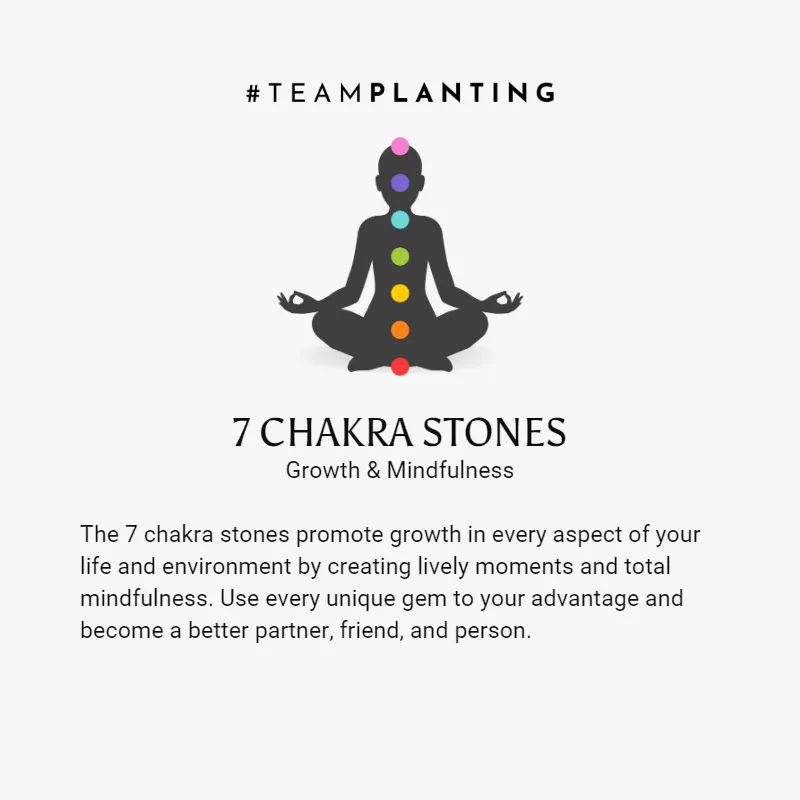 7 Chakras Plates Bracelet