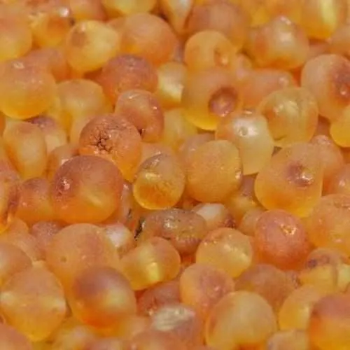 Adult Bees Knees Raw Honey Baltic Amber Anklet