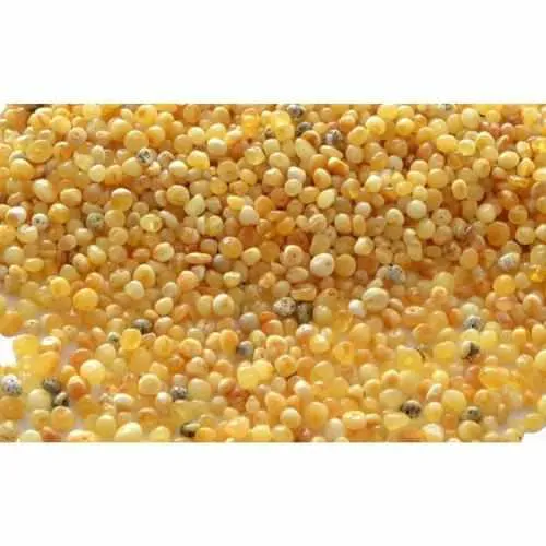 Child Ambrosia Polished Butterscotch Baltic Amber Anklet Bracelet
