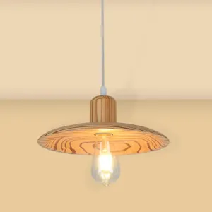 Minimalist Wood Disc Downlight Pendant Lamp - 1 Light, Beige/Orange Red, for Dining Room