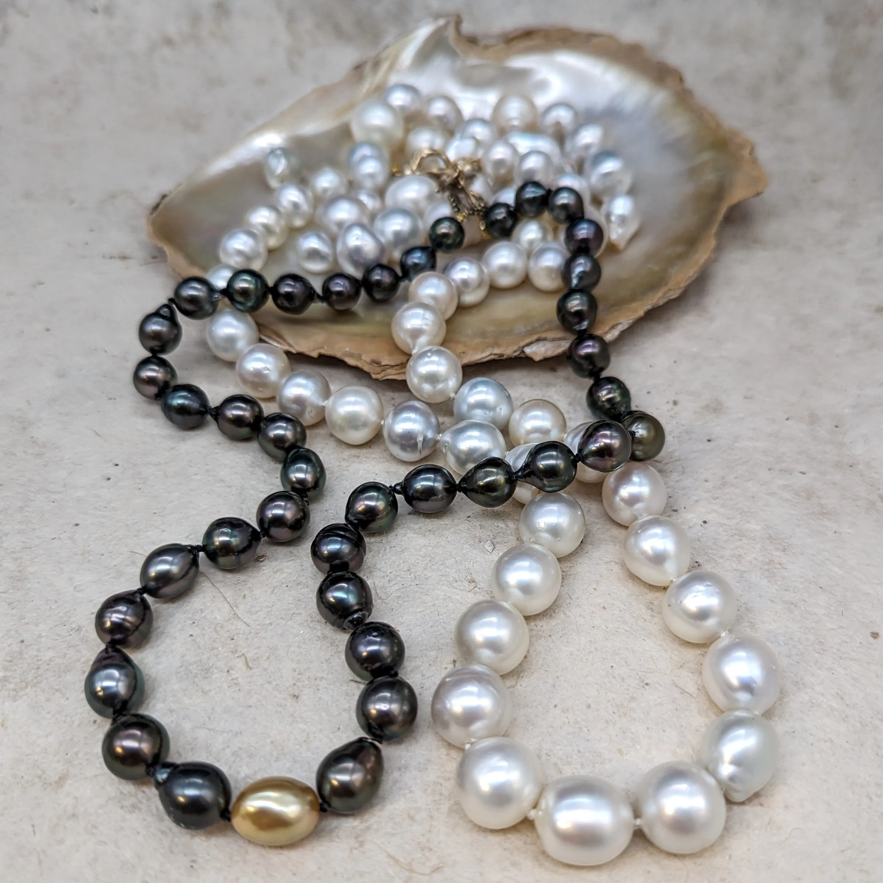 South Sea Baroque Delish